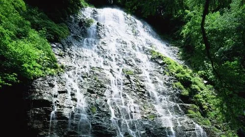 高性能高性能高端
